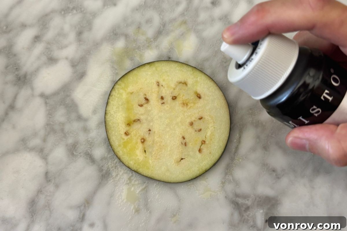 Lightly Sprayed Crispy Air Fryer Eggplant Parm - Vonrov